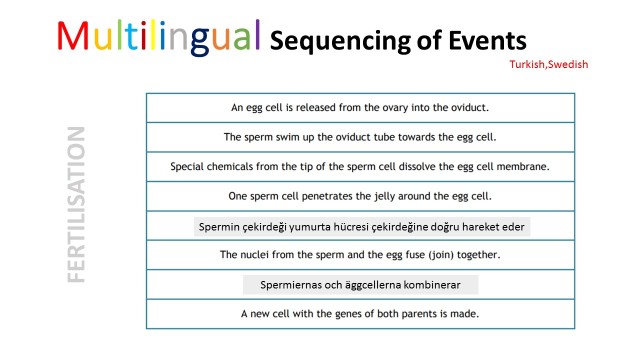 fertilisation sequencing
